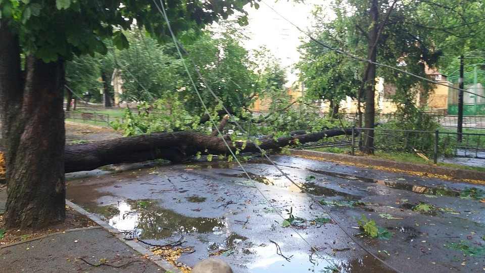 Перекресток ул. Шполянской и бульвара Франко. Фото: Ольга Васильева