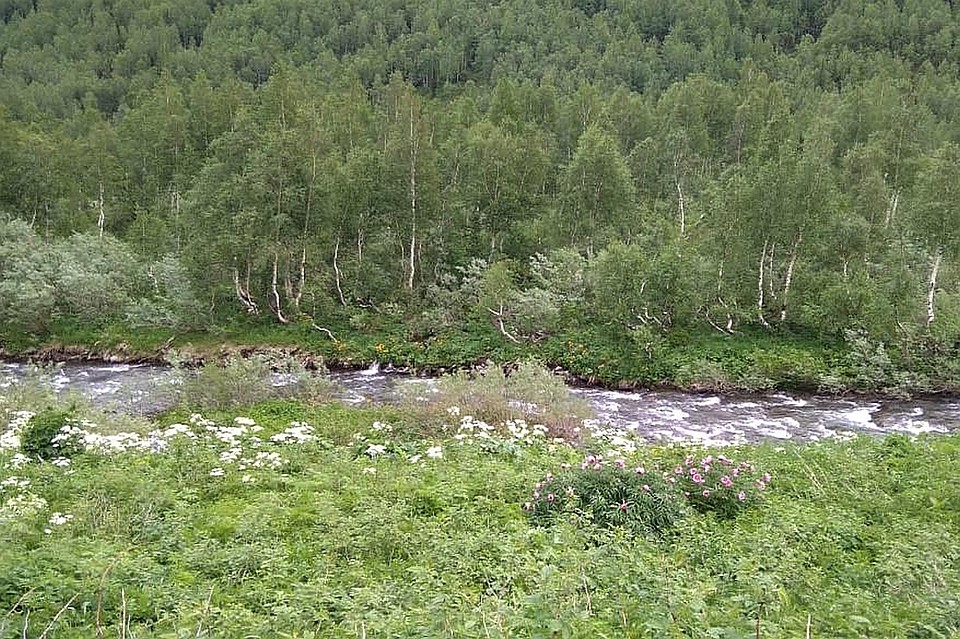 Примерно в 8 километрах машину, если она не высокопроходимая, придется оставить – дорогу начнут пересекать ручьи и неглубокие речушки. Фото: Алексей ЛАВРИНЕНКО