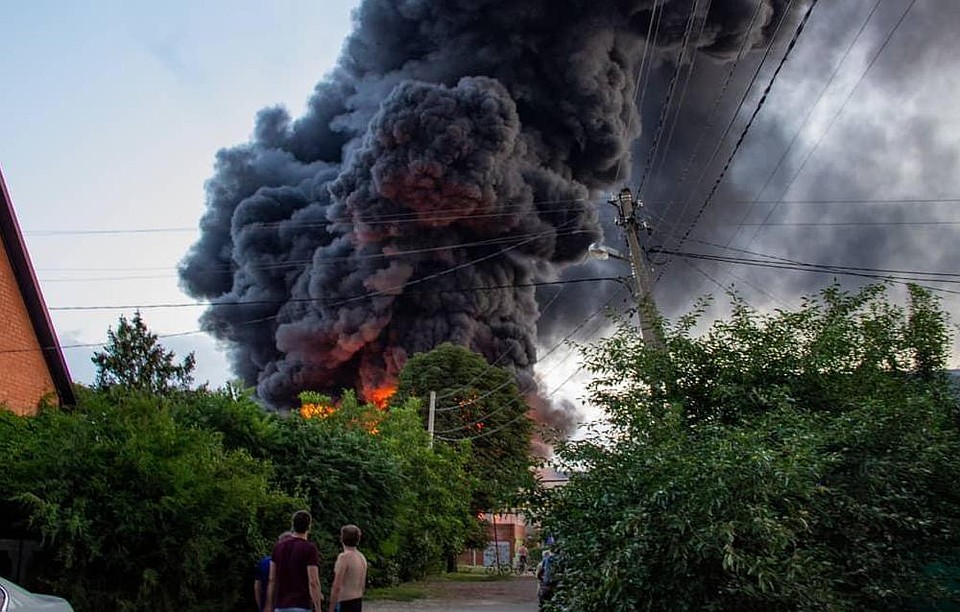 Фото: социальные сети
