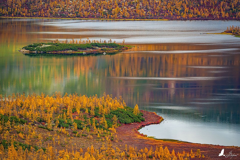 Фото: Алексей Ворон