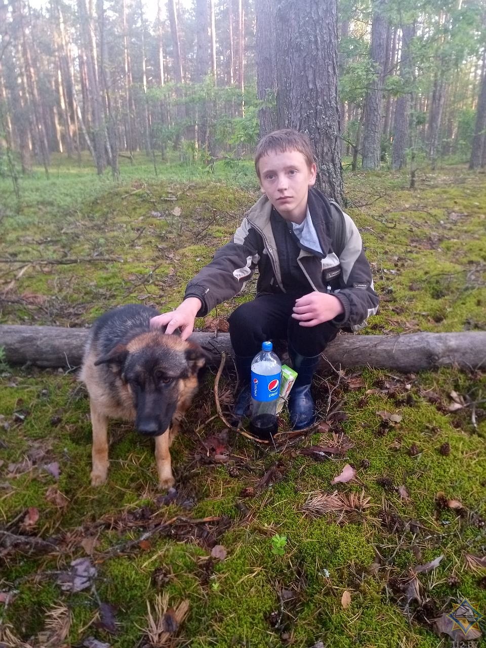 Овчарка нашла заблудившегося в лесу 12-летнего мальчика. Фото: МЧС