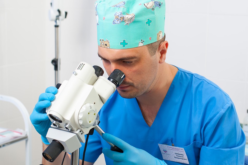 Фото: Best clinic