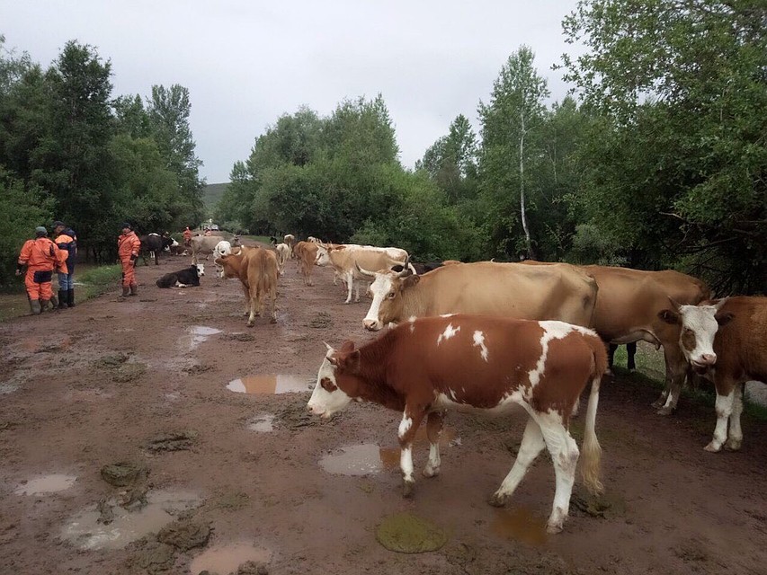 Подтоплено 77 дворов. Фото: Шолбан КАРА-ООЛ.