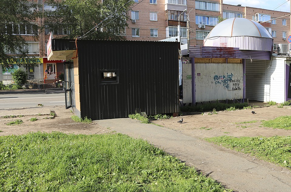 Фото: Дарья Кузнецова