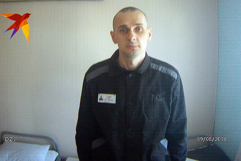 Сенцов осуждён Северо-Кавказским окружным судом за терроризм. Фото: Пресс-служба уполномоченного по защите прав человека в РФ