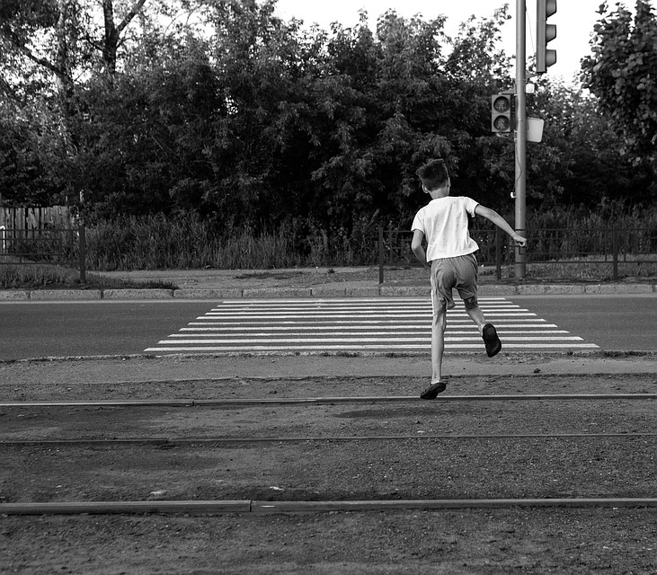 Фото: Алексей Потапов