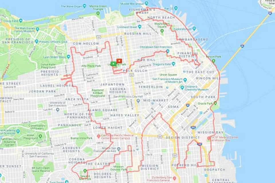 Кошка. Фото: из аккаунтов Strava и MapMyRun Ленни Могана