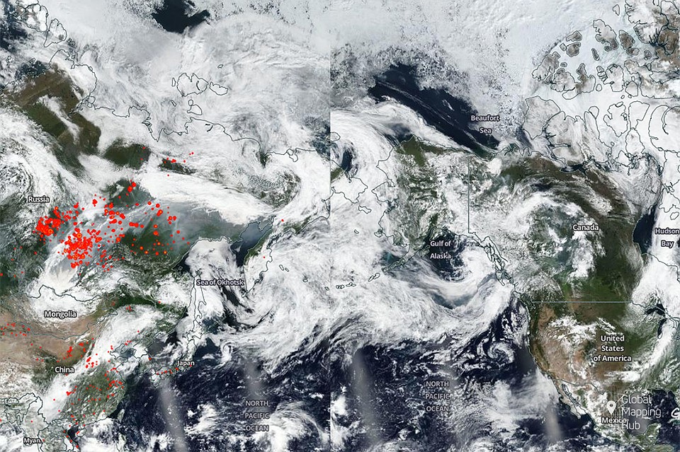 Дым от пожаров в Сибири добрался до Аляски. Карта: arcgis.greenpeace.org