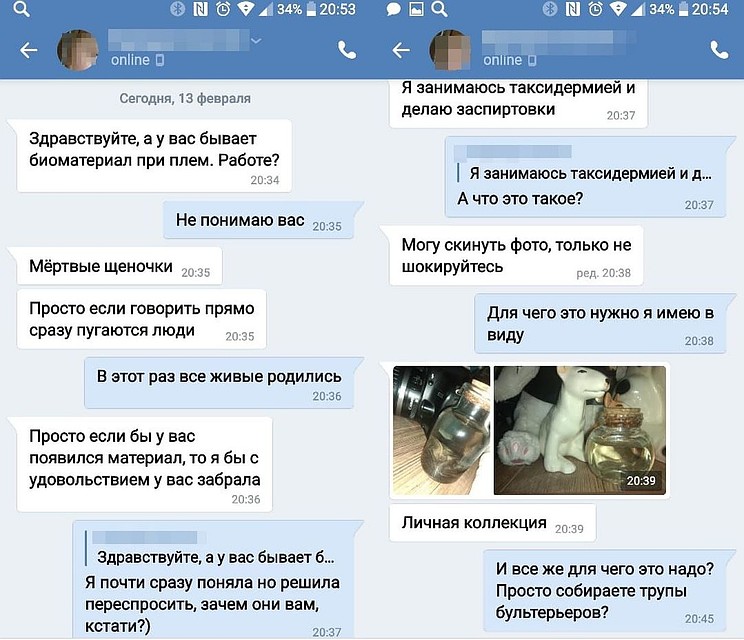 Девочка покупала трупы животных для «хобби». Фото: личный архив.