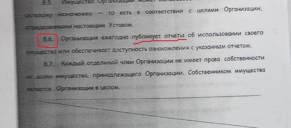 Скриншот устава