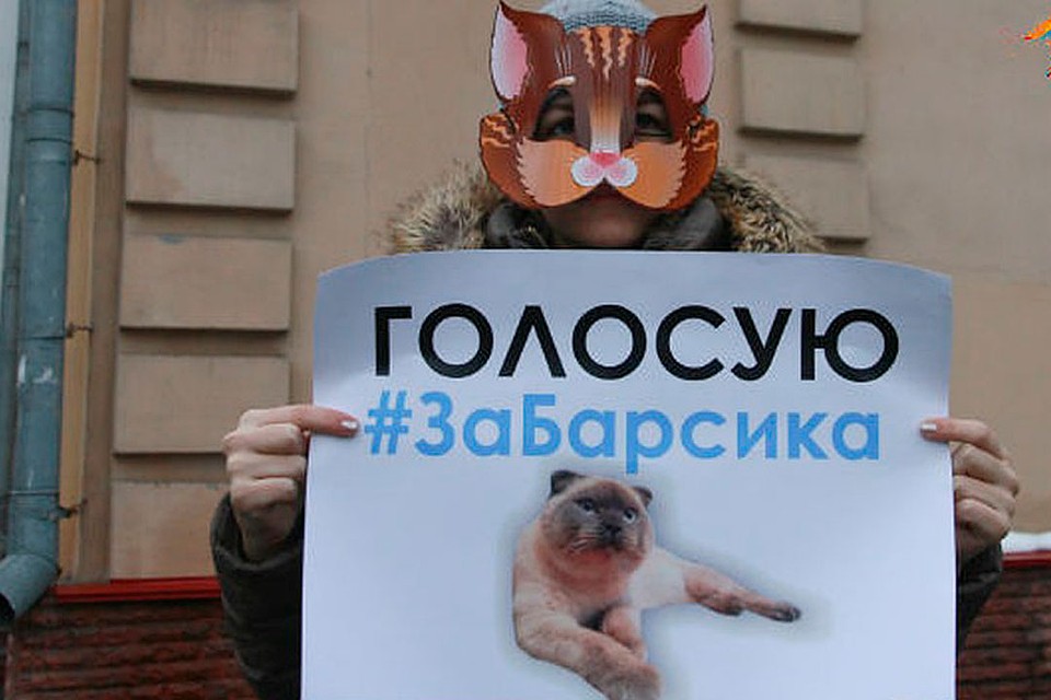 Кто-то выбирает Барсика Фото: Олег УКЛАДОВ