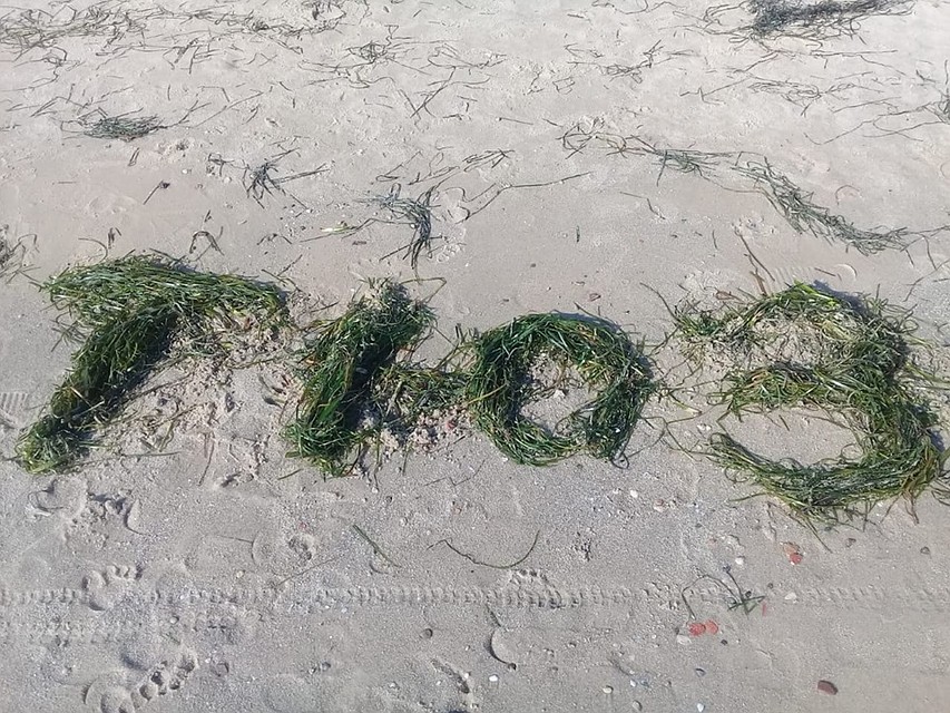В жёлтой жаркой Африке... Тунис плюс Тюз равно любовь. От артистки Галины Сергеевой. Фото: из архива ТЮЗа
