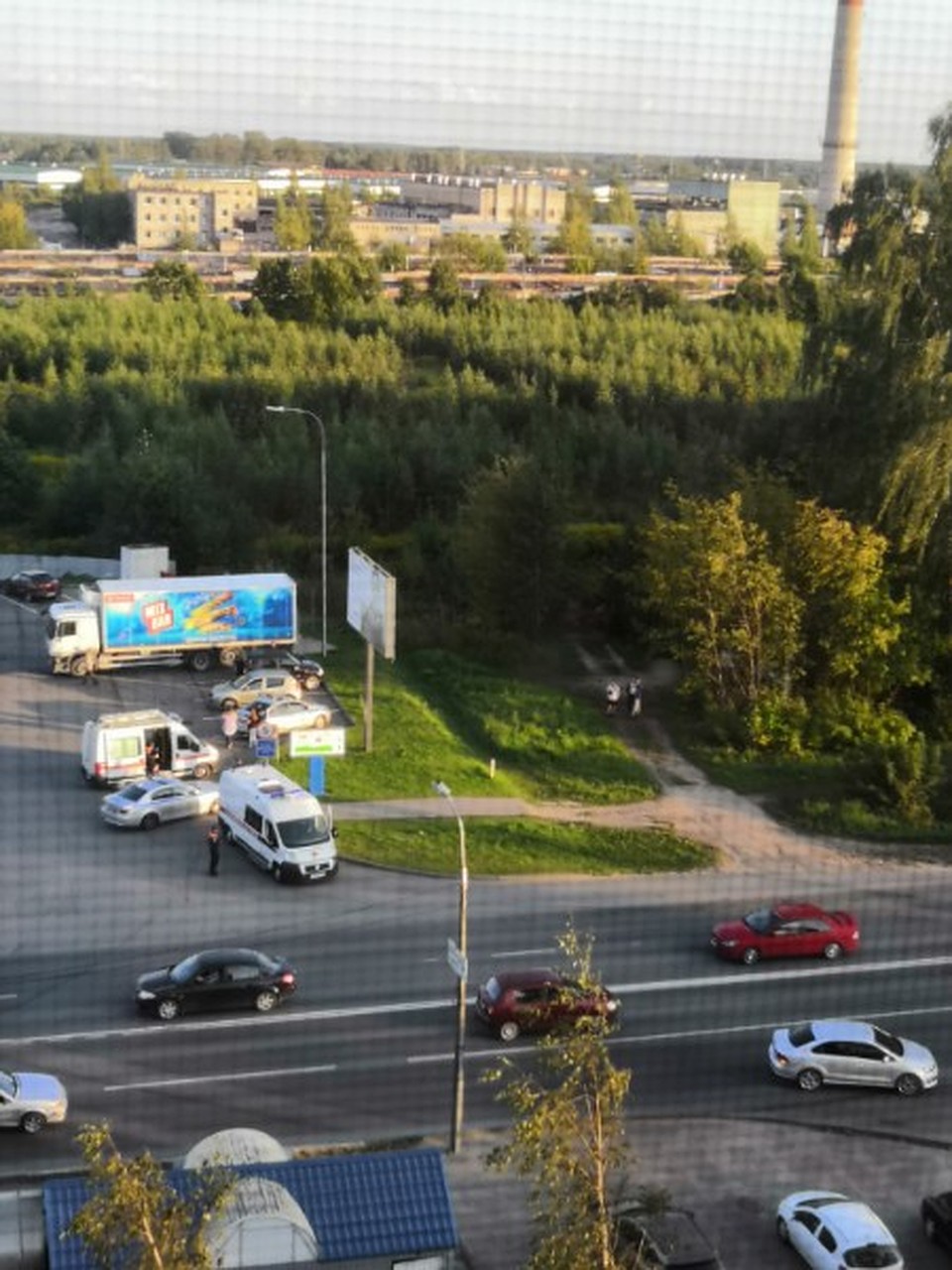 Фото: Ирина ИВАНОВА. vk.com/ghest_pskov. Водитель дожидался ГИБДД в кустах - утверждают очевидцы.