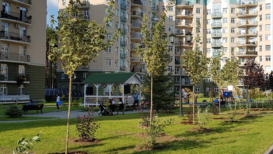 Фото: пресс-служба AVA Group