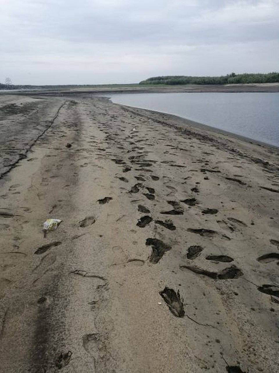 По данным на 2 сентября, уровни воды ниже проектных отметок, лимитирующих судоходство, сохраняются на трех участках реки Лена.