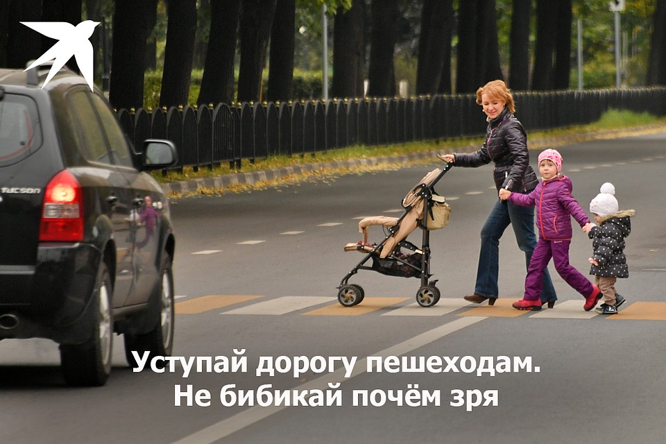 Уступай дорогу пешеходам Фото: Владимир ВЕЛЕНГУРИН