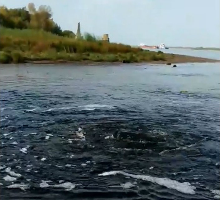 Экологи предполагают, что в этом районе прорвало коллектор. ФОТО: Сергей Марин