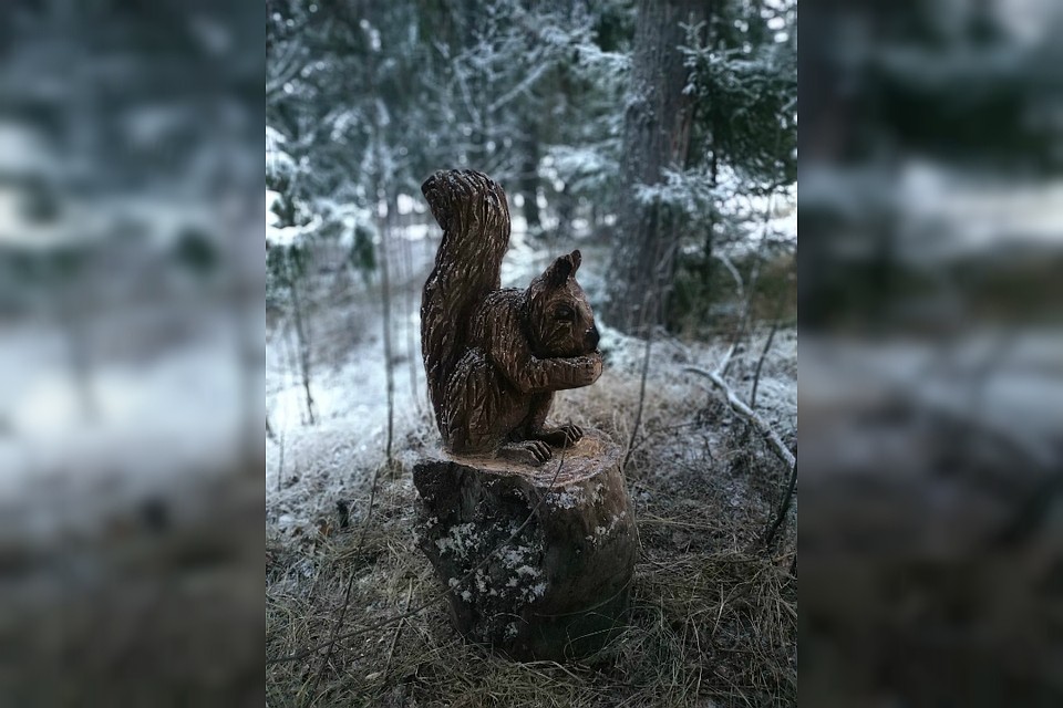 Белочка тоже «живет» в лесу. Фото: vk.com/id520505358