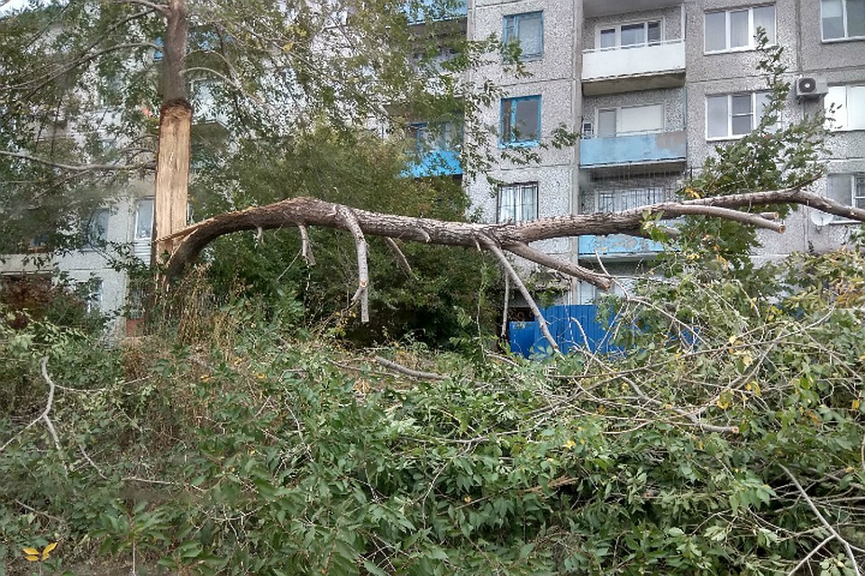 Фото: «ЧП Омск», vk.com
