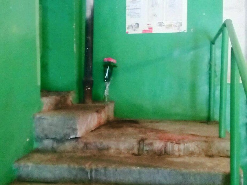 Тело нашли в подъезде дома на Вишневой, 20. Фото соцсетей