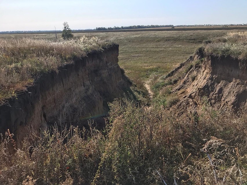 Найти место помогли датчики на собаках. Фото: СУ СК по Волгоградской области