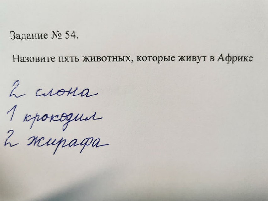 Так кто же живет в Африке?