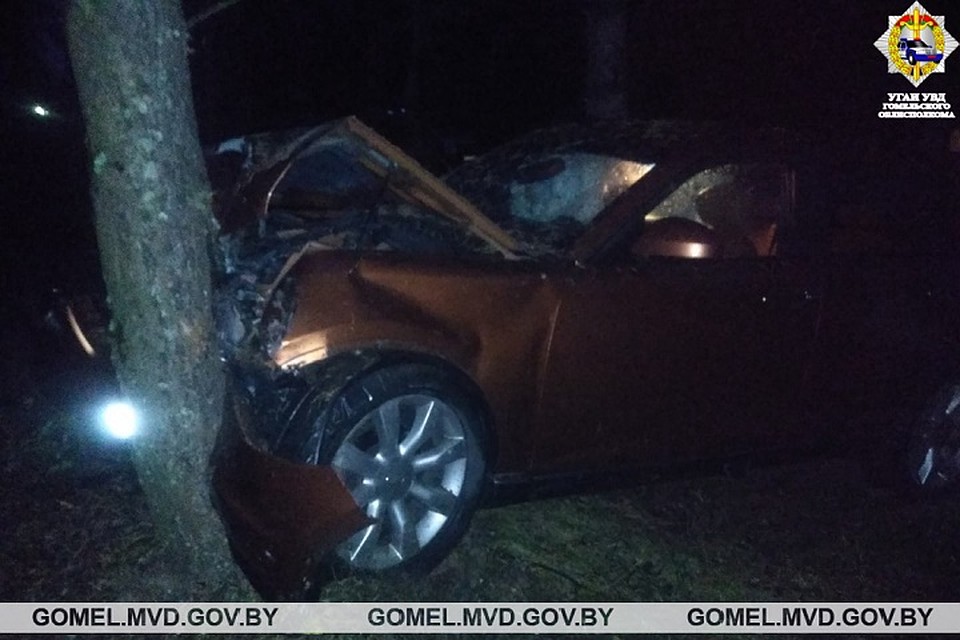 20-летний водитель на Infiniti врезался в дерево. Фото: УВД Гомельского облисполкома.