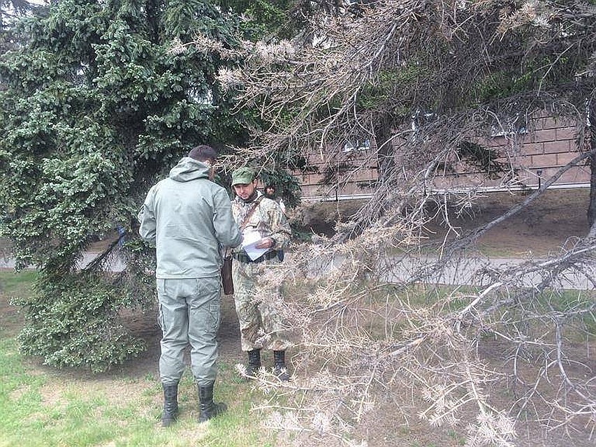 В мае этого года специалисты взяли пробы с деревьев. Фото: пресс-служба администрации Красноярска