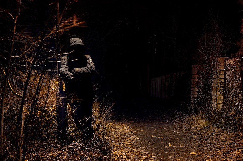 Фото: Пиксабай
