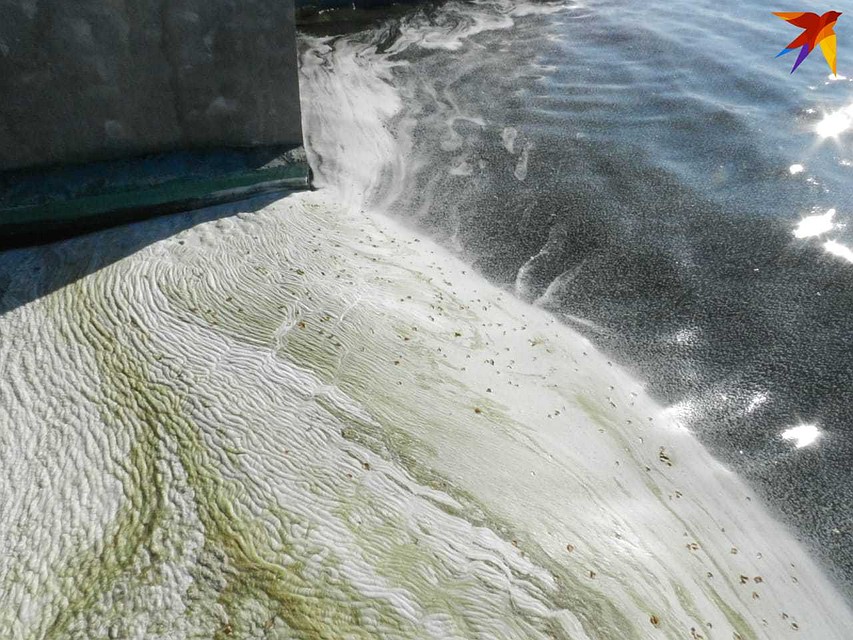 Жители Черноисточинска считают, что в водоем сливают недоочищенные канализационные стоки. Фото: читательница "КП"