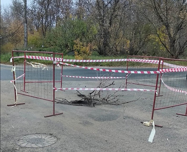 Фото: vk.com/"Подслушано у водителей. Тверь"/Любовь Ленская