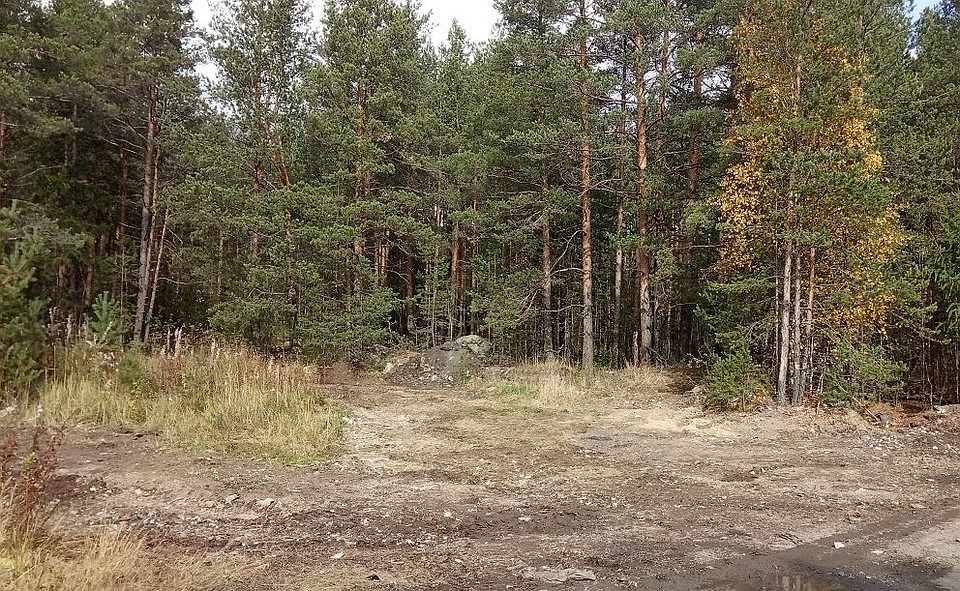 Фото: прокуратура Свердловской области