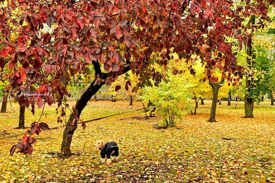 Во-первых, это красиво! Фото: Евгении Карпачевой