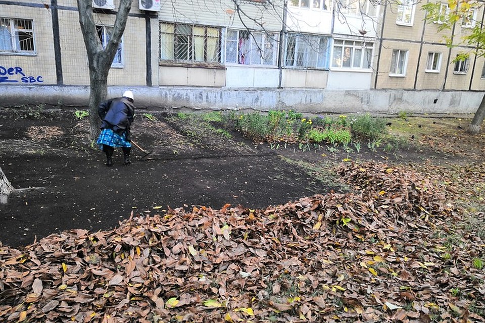 В-третьих, хороший хозяин знает, что листва защитит от морозов, если они ударят на пустую землю. Фото: Юлия АНДРИЕНКО