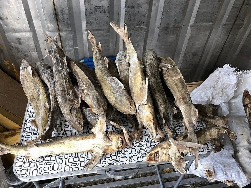 Всего рыбы - 200 килограммов. Фото: Пресс-служба Пограничного управления ФСБ России по НСО
