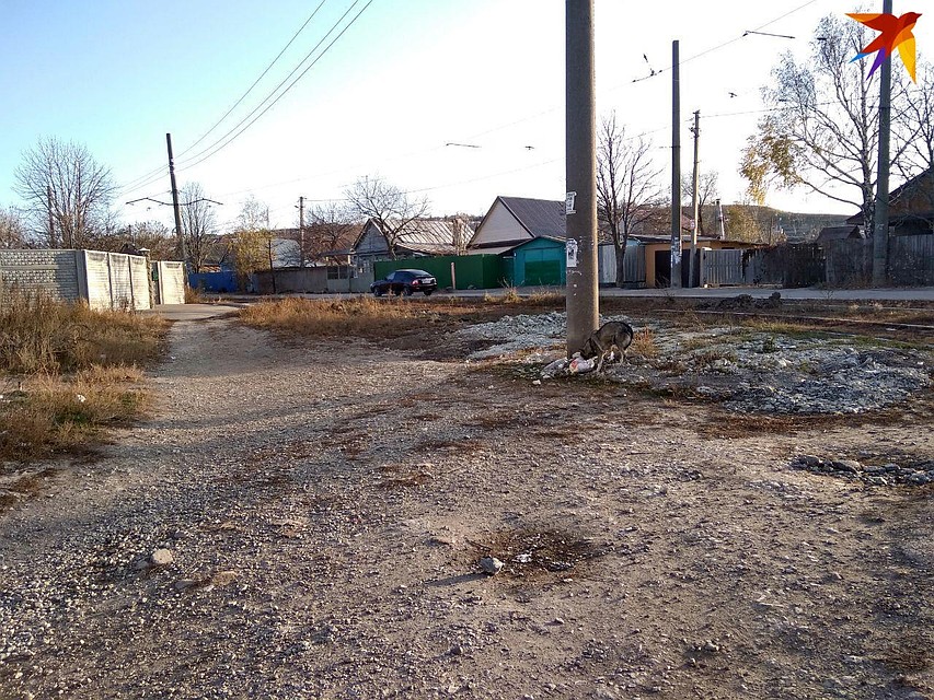 Улицы Поливановки пустынны, а дома спрятались за глухими заборами Фото: Екатерина Семенова