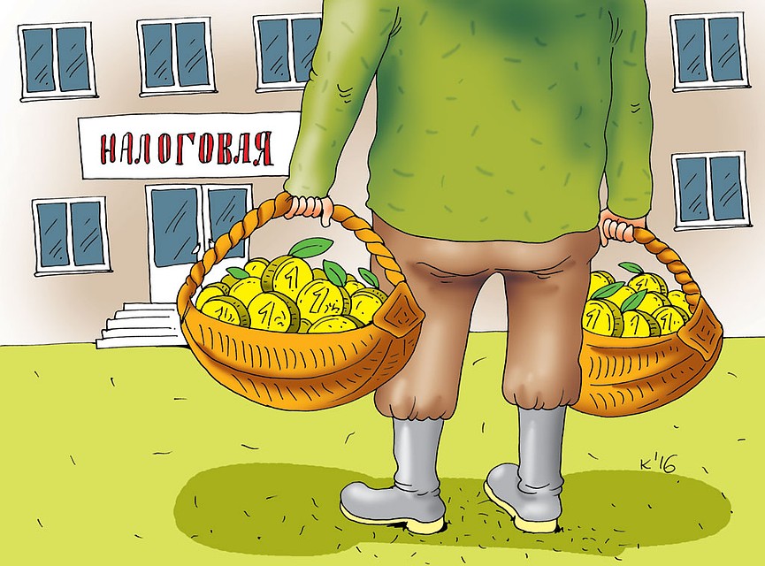 Рис.: Катерина МАРТИНОВИЧ