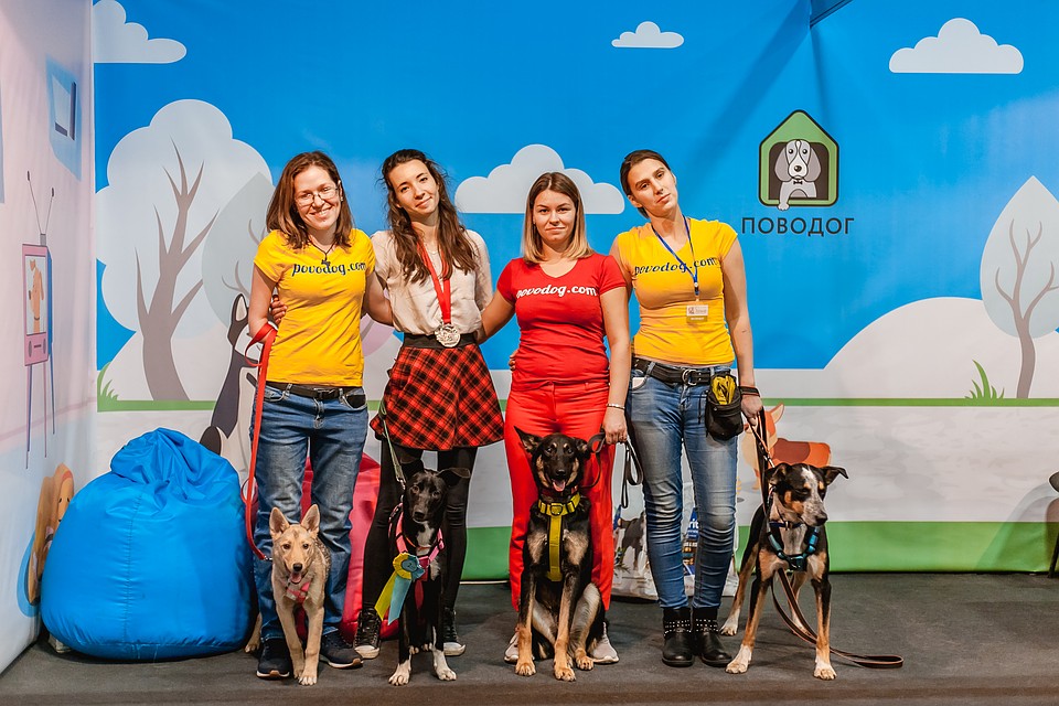 Вот они лучшие! Фото: "Поводог".