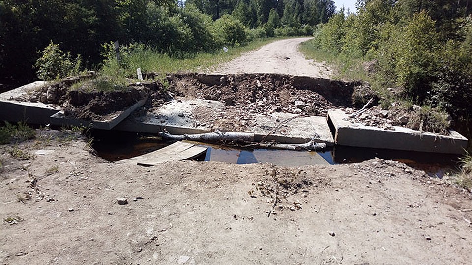 Фото: предоставлены пресс-службой ДСИО