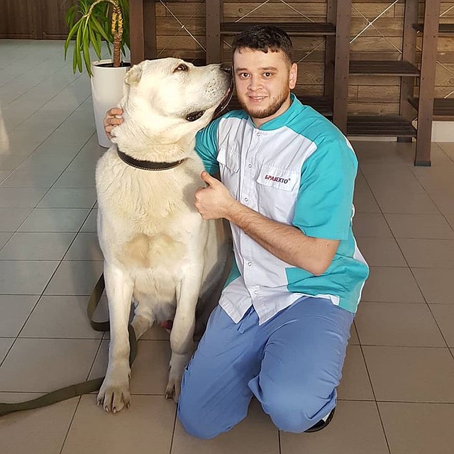 В клинику, где работает Баграт, больше не приносят животных на эвтаназию. Фото героя публикации