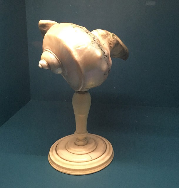 Кубок из раковины "шумовая голова". Фото: Сергей СЕЛЕДКИН