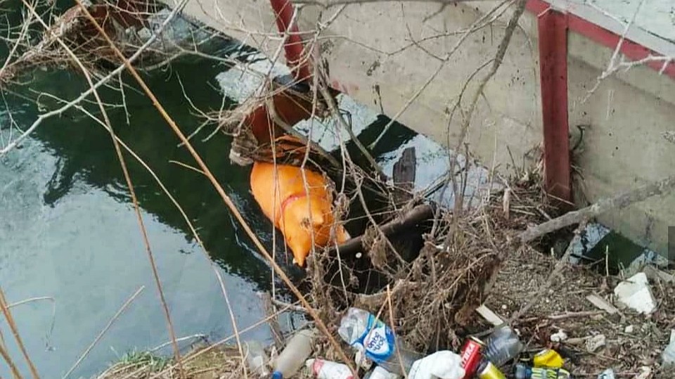 Фигуру выкинули в воду Фото: dps_vl