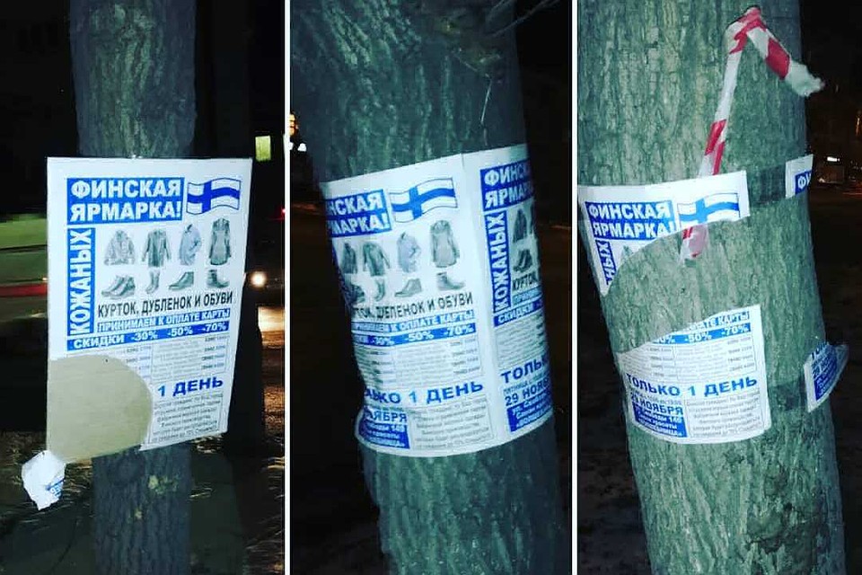 Объявлениями оказались заклеены даже деревья