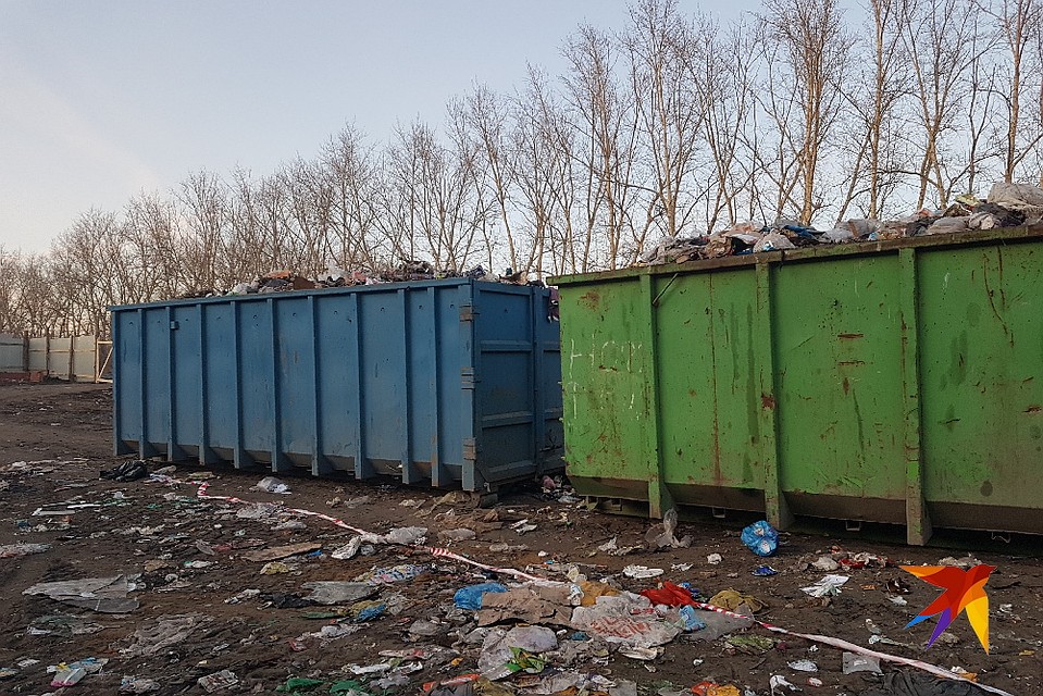 Мусорный полигон у поселка Московский.