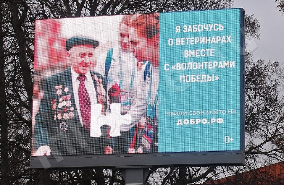 Еще несколько дней назад орловцев просили заботиться о ветеринарах. Фото: infoorel.ru