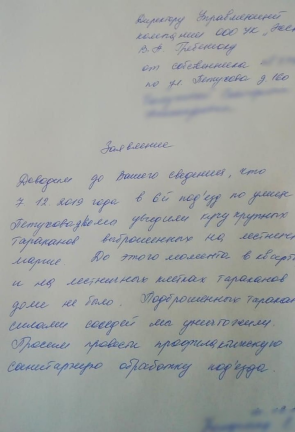 Заявлени от жителей, которые подтверждают - раньше в доме тараканов не было.