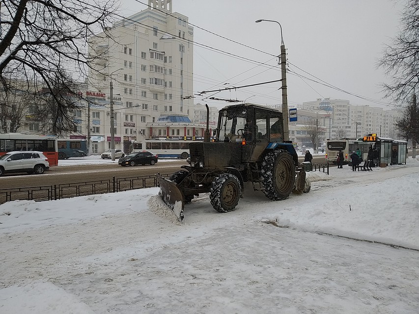 . Фото: Анна ДЕКТЯРЕВА