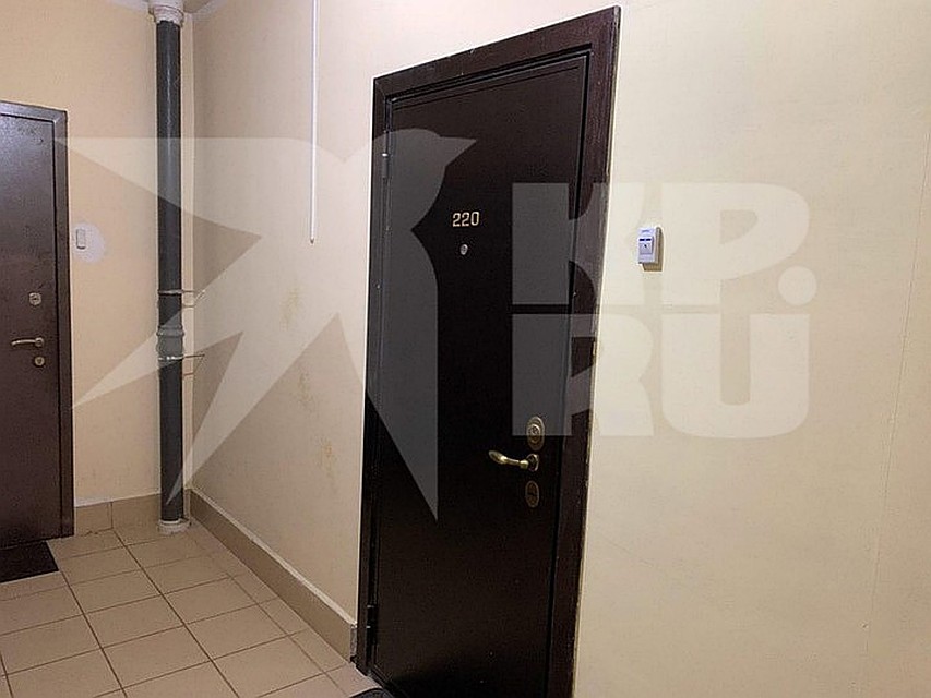 В квартире был частный приют по передержке малышей рожденных от суррогатных матерей.