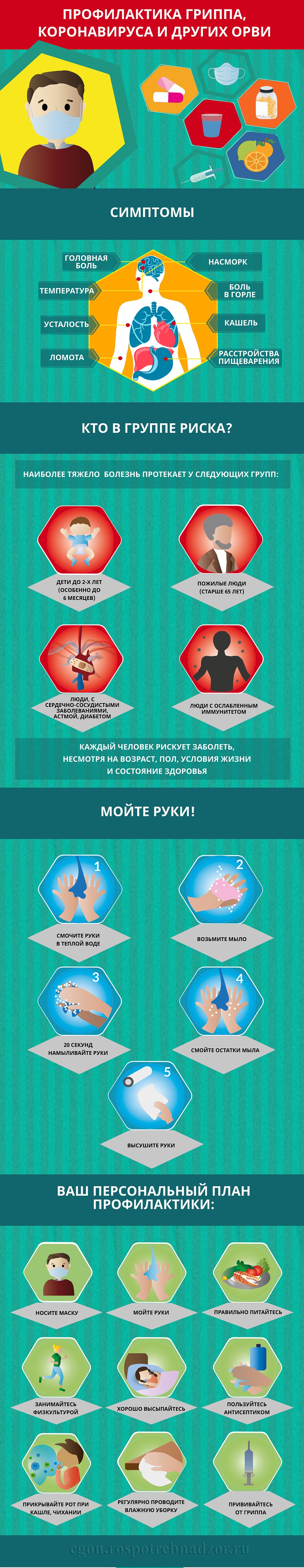 Большая инфографика. Фото: Роспотребнадзор