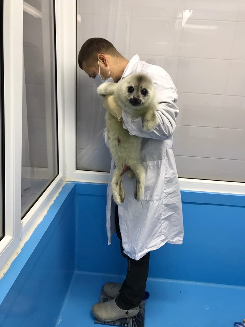 Вот так малышку взвесили / Фото: Фонд друзей балтийской нерпы